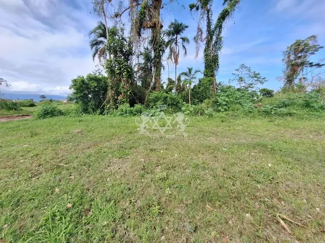 Terreno à venda no Golfinho - Caraguatatuba / SP - Cod. TE0010 — foto 7
