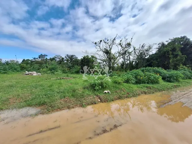 Terreno à venda no Golfinho - Caraguatatuba / SP - Cod. TE0010 — foto 3