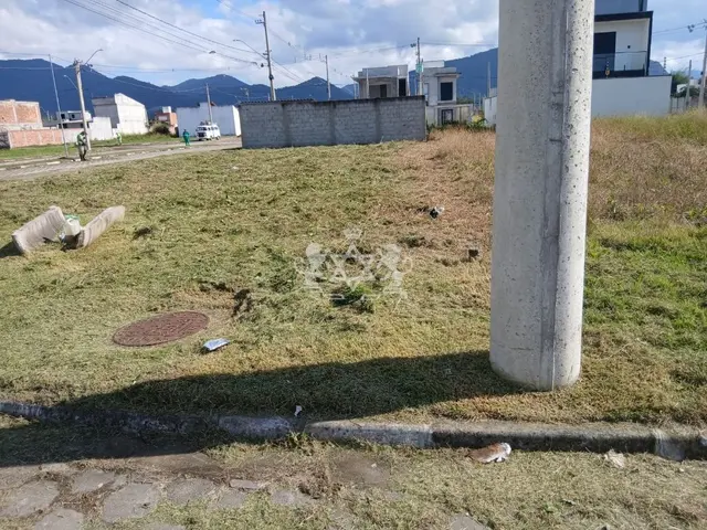 Terreno à venda no Travessão - Caraguatatuba / SP - Cod. TE0008 — foto 5