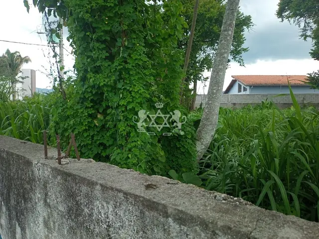 Terreno à venda no Porto Novo - Caraguatatuba / SP - Cod. TE0003 — foto 5