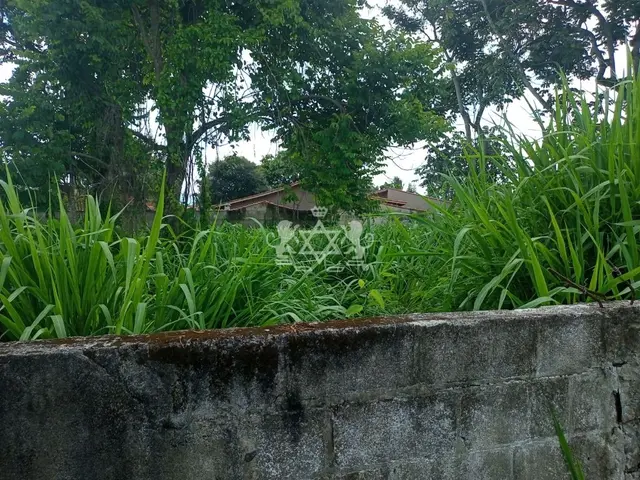Terreno à venda no Porto Novo - Caraguatatuba / SP - Cod. TE0003 — foto 7