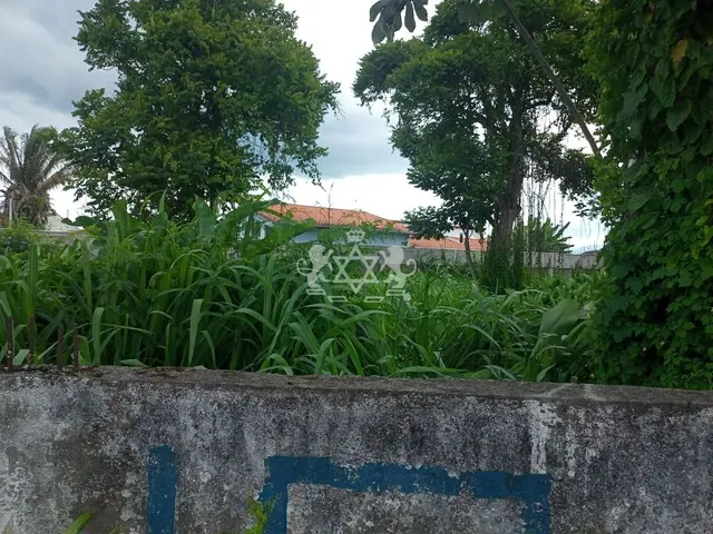 Terreno à venda no Porto Novo - Caraguatatuba / SP - Cod. TE0003 — foto 6