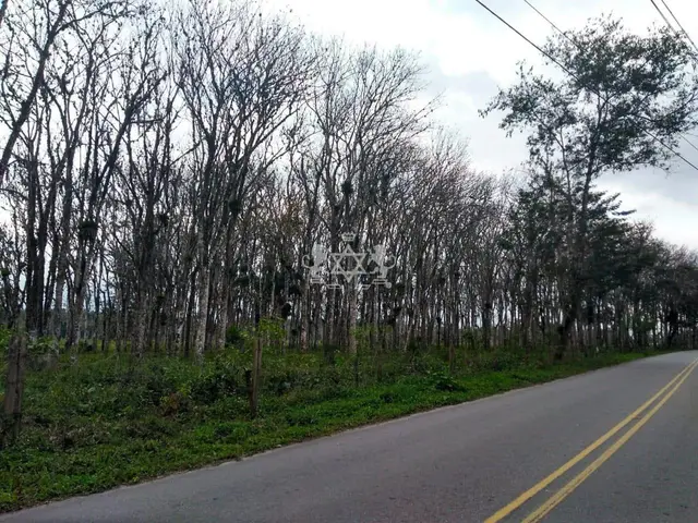 Terreno à venda no Barranco Alto - Caraguatatuba / SP - Cod. TE0139 — foto 3