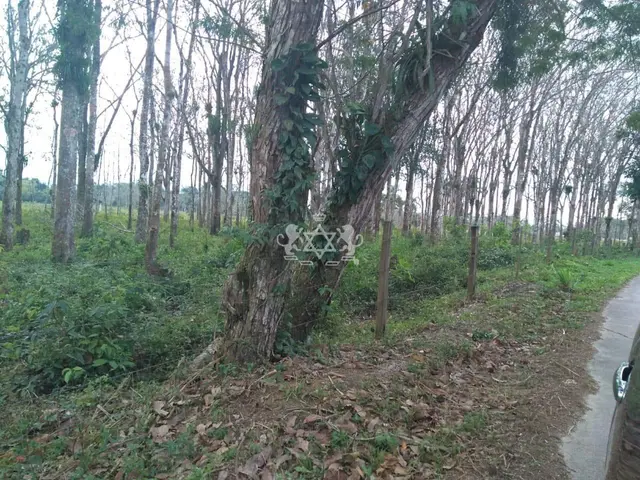 Terreno à venda no Barranco Alto - Caraguatatuba / SP - Cod. TE0139 — foto 5