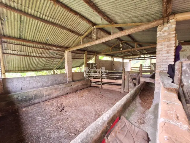Sítio à venda no Pouso Alto - Natividade da Serra / SP - Cod. SI0006 — foto 28