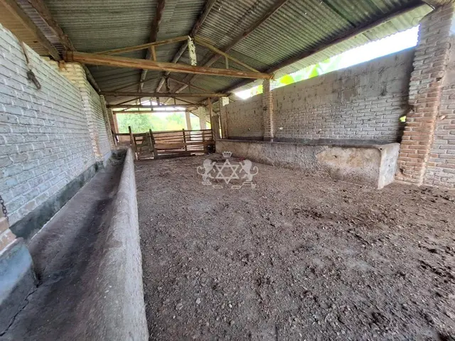 Sítio à venda no Pouso Alto - Natividade da Serra / SP - Cod. SI0006 — foto 26
