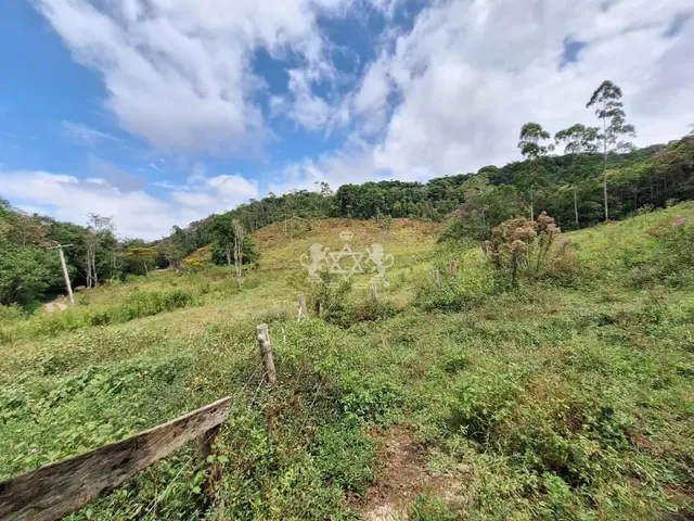 Sítio à venda no Pouso Alto - Natividade da Serra / SP - Cod. SI0006 — foto 29