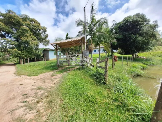 Sítio à venda no Pouso Alto - Natividade da Serra / SP - Cod. SI0006 — foto 3