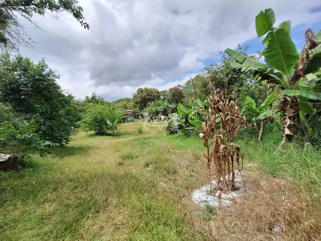 Sítio à venda no Pouso Alto - Natividade da Serra / SP - Cod. SI0006 — foto 30