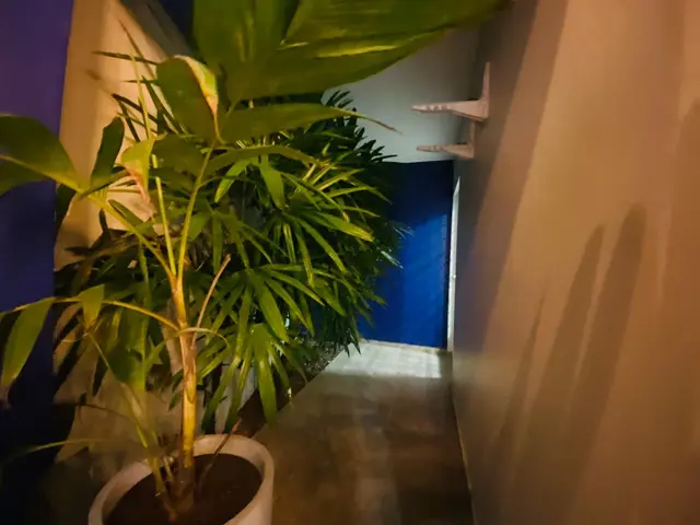 Ponto comercial à venda no Centro - Caraguatatuba / SP - Cod. PC0011 — foto 6