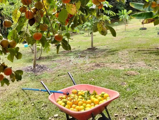Chácara à venda no Bairro da Grama - Paraibuna / SP - Cod. CH0005 — foto 14