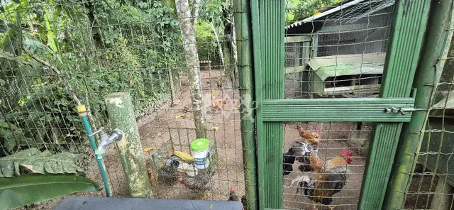 Chácara à venda no Massaguaçu - Caraguatatuba / SP - Cod. CH0001 — foto 17