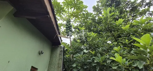 Chácara à venda no Massaguaçu - Caraguatatuba / SP - Cod. CH0001 — foto 5