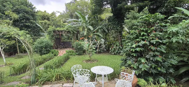 Chácara à venda no Massaguaçu - Caraguatatuba / SP - Cod. CH0001 — foto 19
