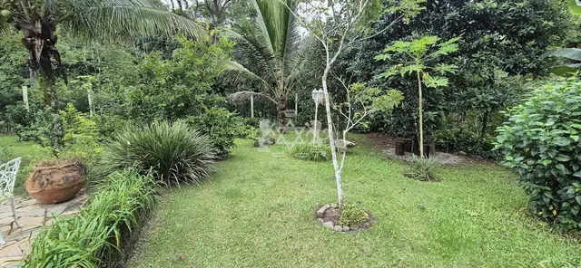 Chácara à venda no Massaguaçu - Caraguatatuba / SP - Cod. CH0001 — foto 16